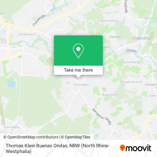 Thomas Klein Buenas Ondas map