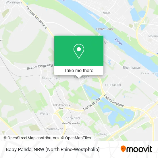 Карта Baby Panda