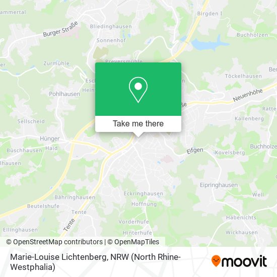 Marie-Louise Lichtenberg map