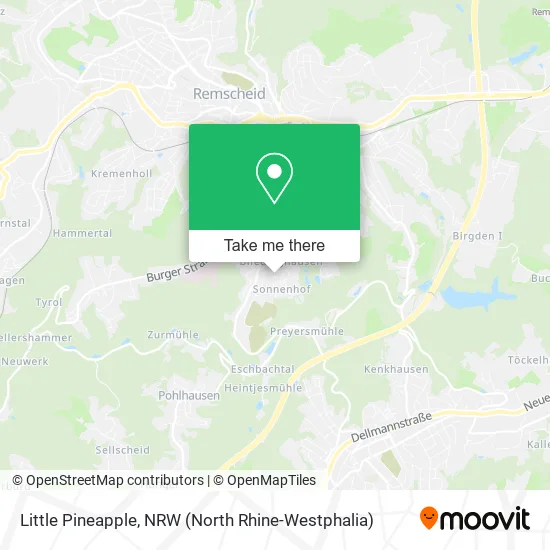 Карта Little Pineapple