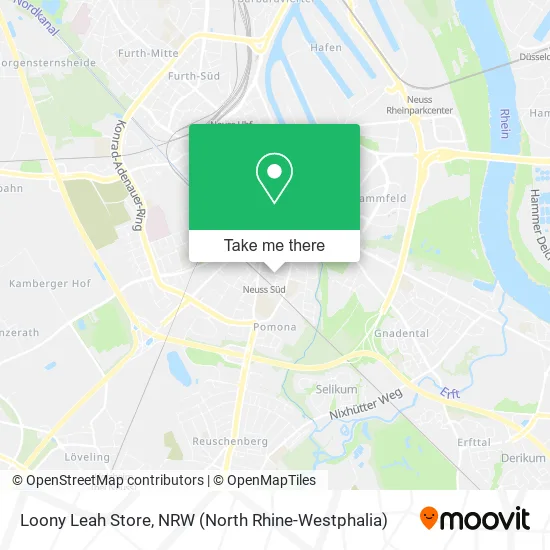 Карта Loony Leah Store
