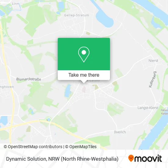 Карта Dynamic Solution