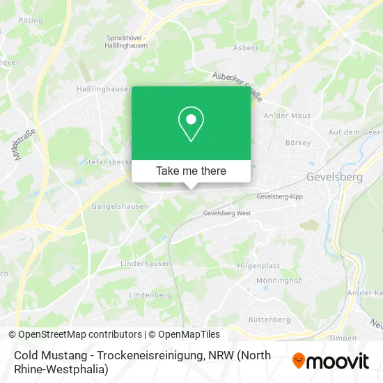 Карта Cold Mustang - Trockeneisreinigung