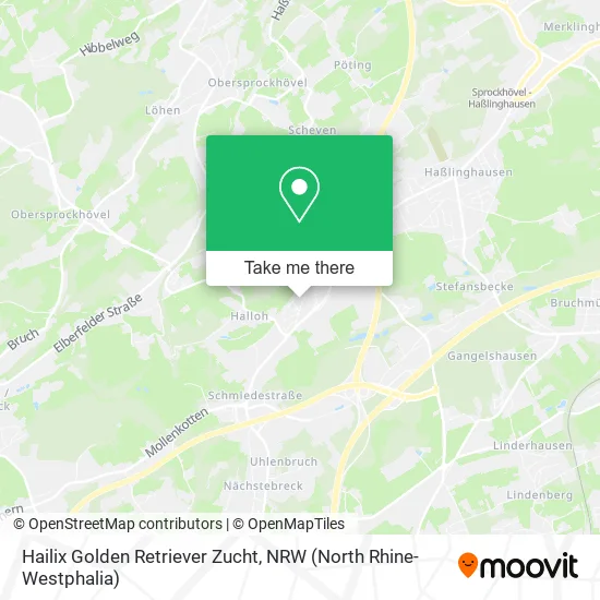 Карта Hailix Golden Retriever Zucht