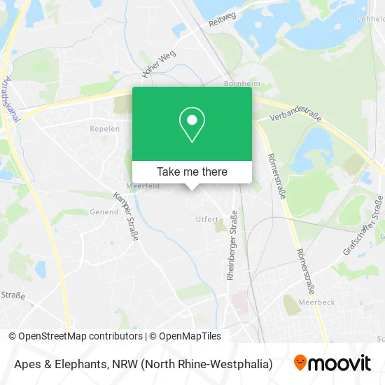 Карта Apes & Elephants