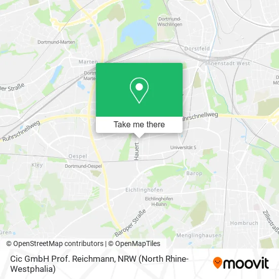 Cic GmbH Prof. Reichmann map