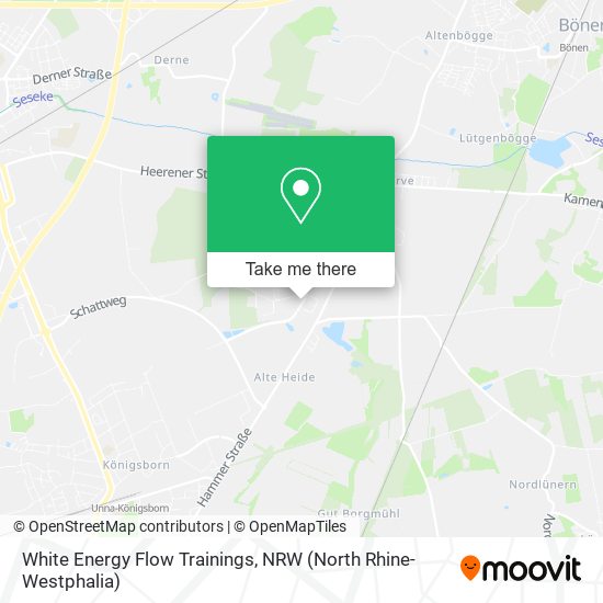 White Energy Flow Trainings map