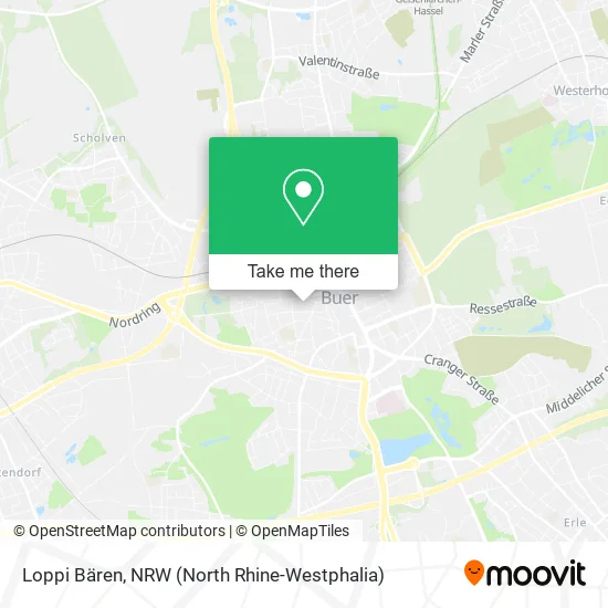 Карта Loppi Bären