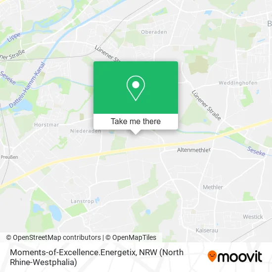 Карта Moments-of-Excellence.Energetix