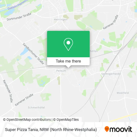 Super Pizza Tania map