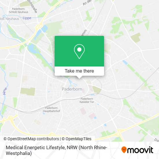 Medical Energetic Lifestyle map