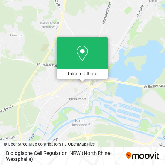 Карта Biologische Cell Regulation