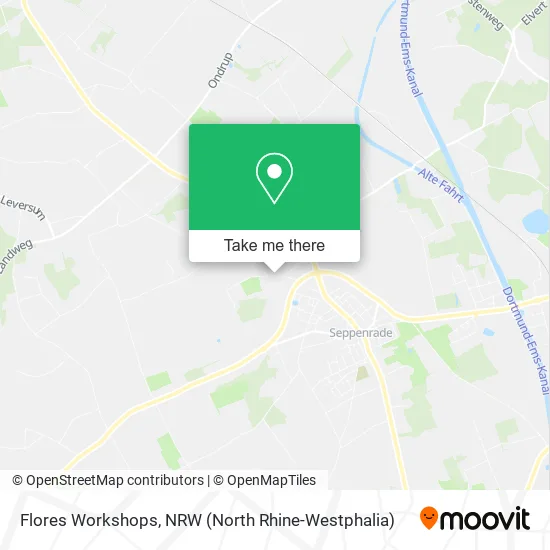 Карта Flores Workshops