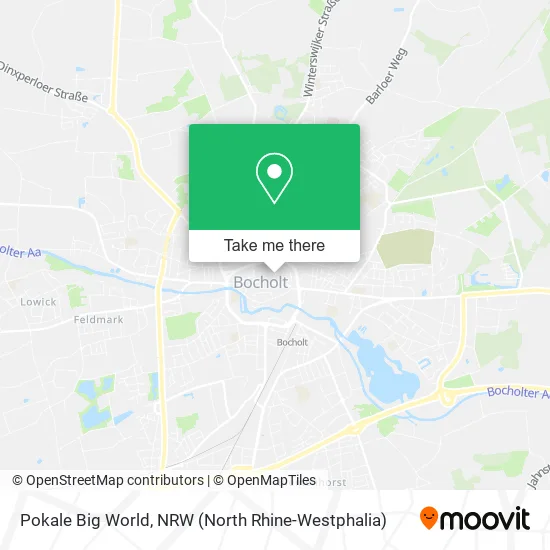 Pokale Big World map