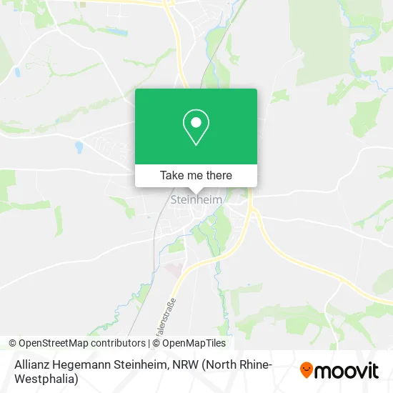 Карта Allianz Hegemann Steinheim