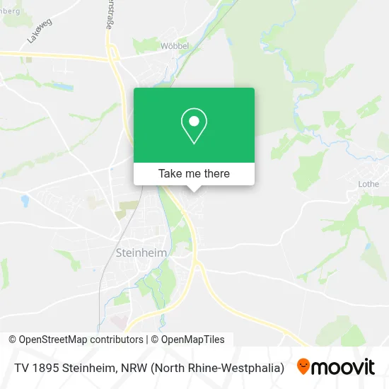 TV 1895 Steinheim map