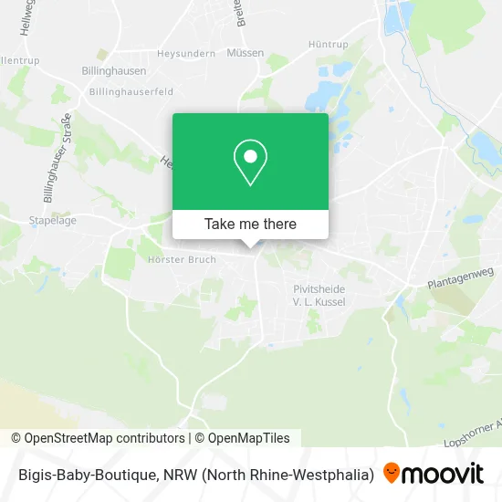 Bigis-Baby-Boutique map