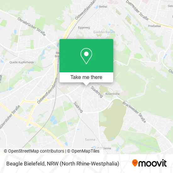 Карта Beagle Bielefeld