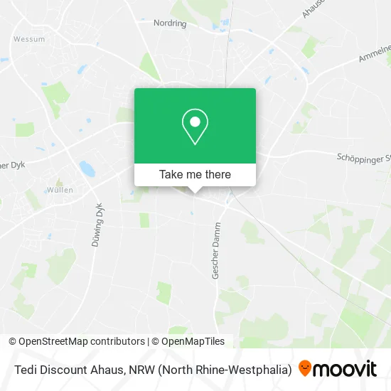 Карта Tedi Discount Ahaus