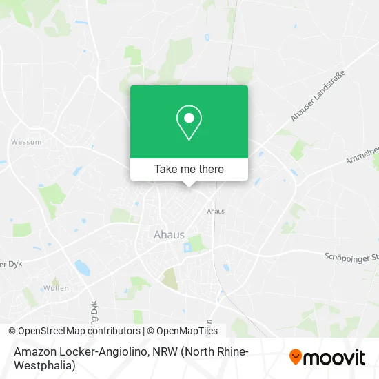 Карта Amazon Locker-Angiolino