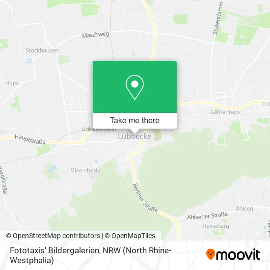 Fototaxis' Bildergalerien map