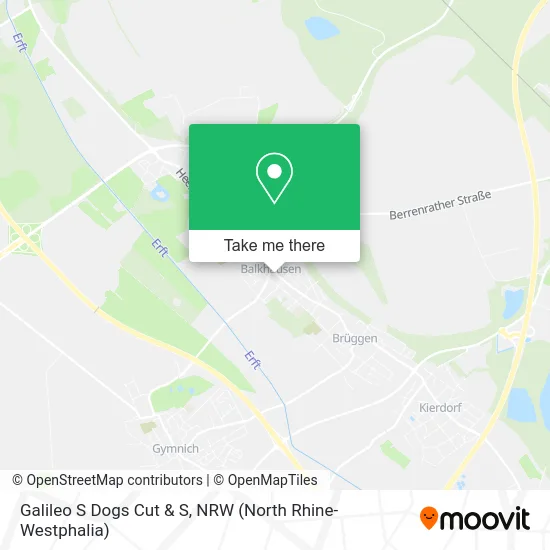 Карта Galileo S Dogs Cut & S