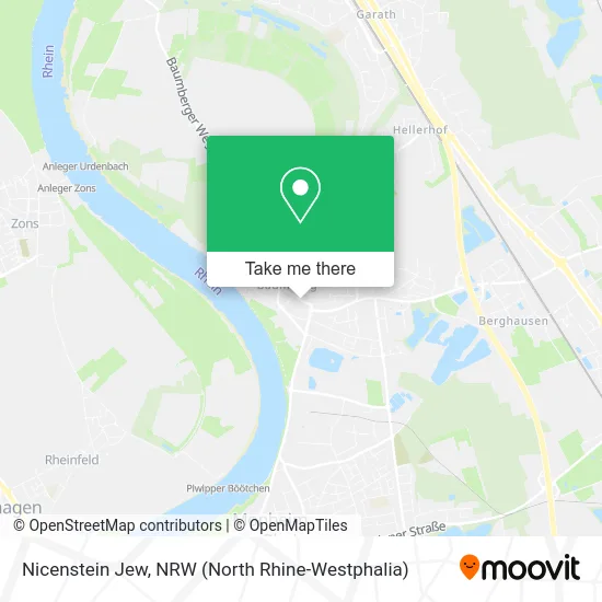 Карта Nicenstein Jew