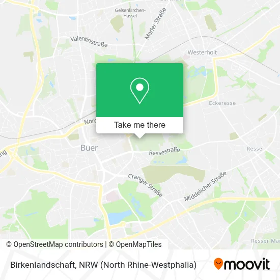 Birkenlandschaft map