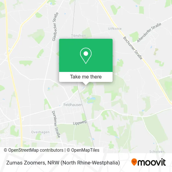 Карта Zumas Zoomers