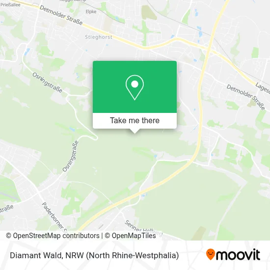 Diamant Wald map