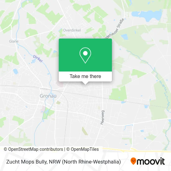Карта Zucht Mops Bully