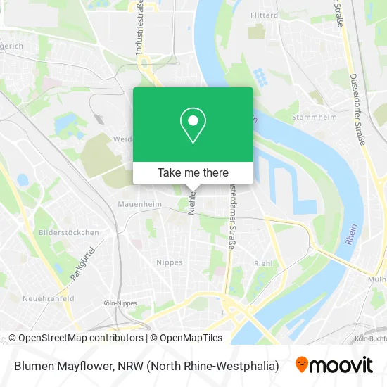 Карта Blumen Mayflower