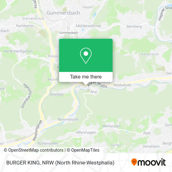 Карта BURGER KING