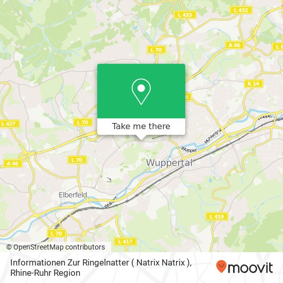 Informationen Zur Ringelnatter ( Natrix Natrix ) map