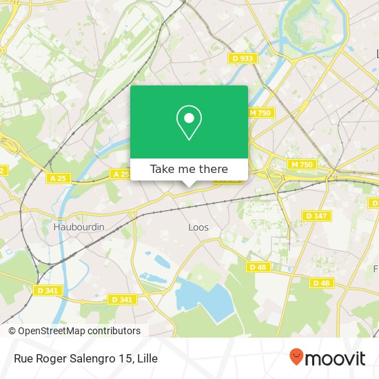 Rue Roger Salengro 15 map