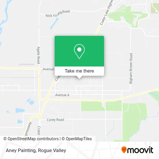 Aney Painting map