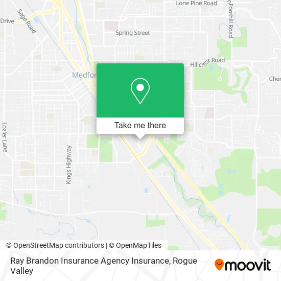Ray Brandon Insurance Agency Insurance map