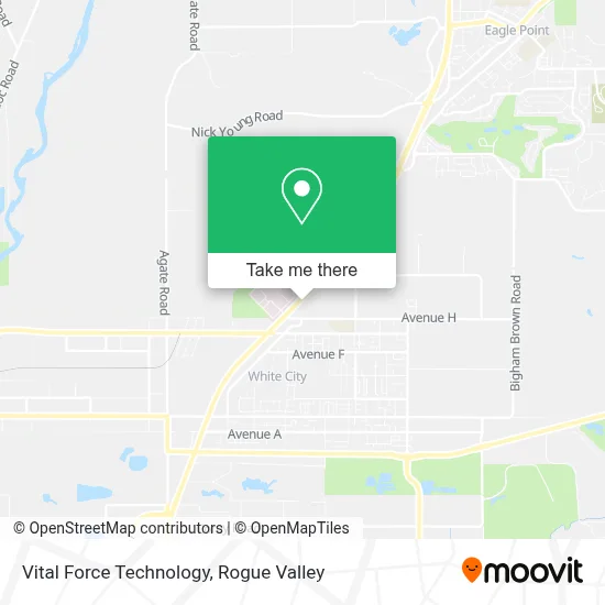 Vital Force Technology map
