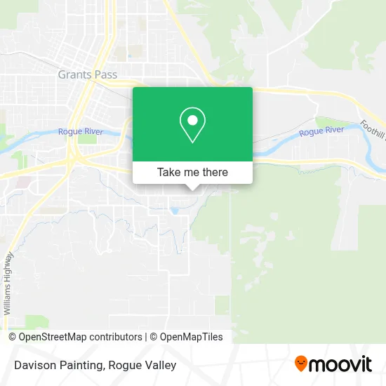 Davison Painting map