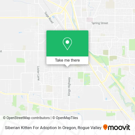 Siberian Kitten For Adoption In Oregon map