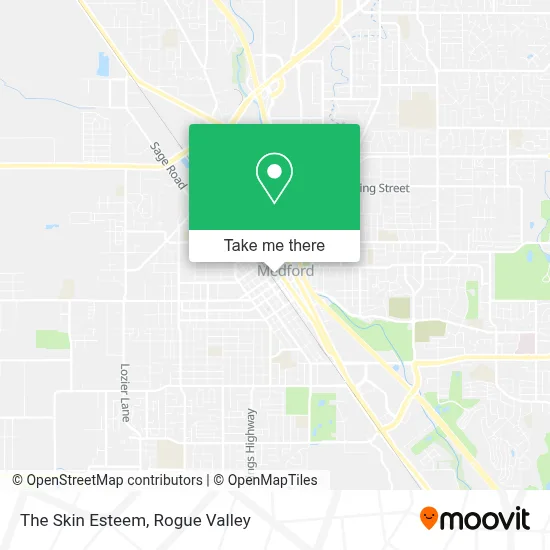 The Skin Esteem map
