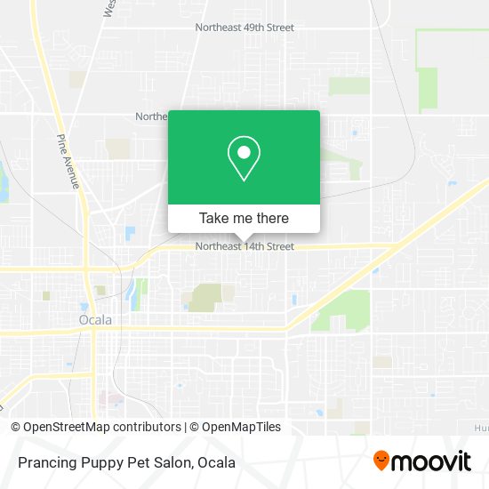 Mapa de Prancing Puppy Pet Salon