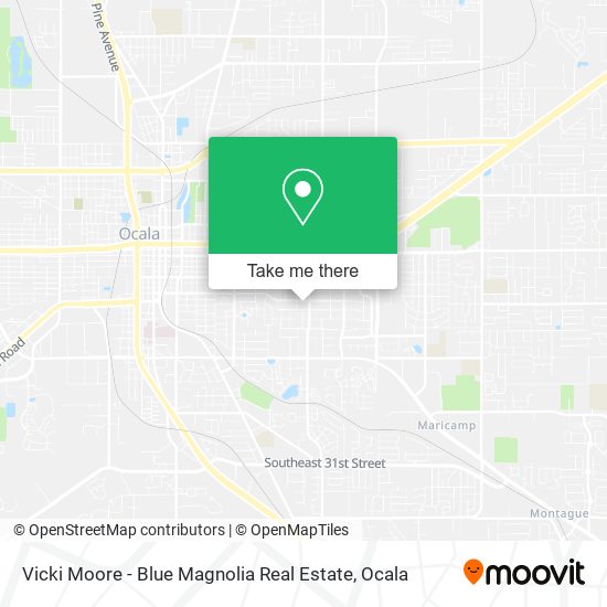 Vicki Moore - Blue Magnolia Real Estate map