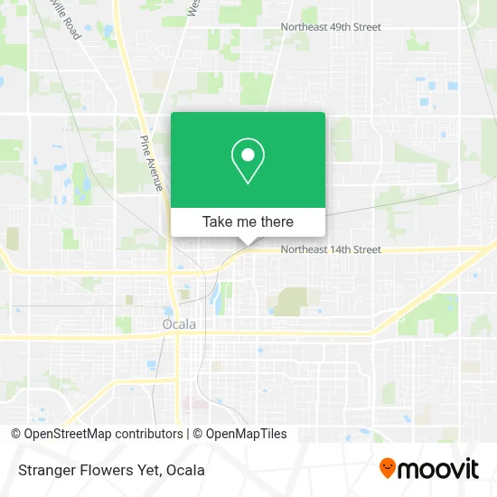 Stranger Flowers Yet map
