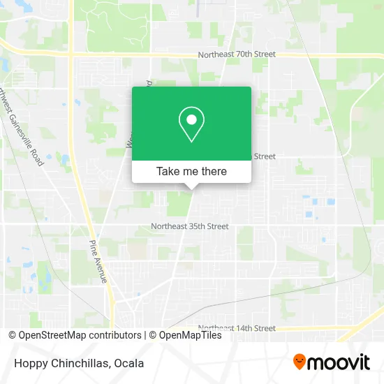 Hoppy Chinchillas map