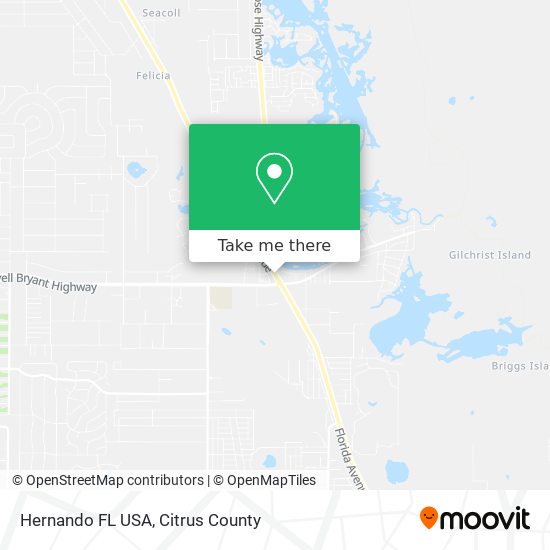 Mapa de Hernando FL USA