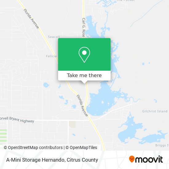 A-Mini Storage Hernando map