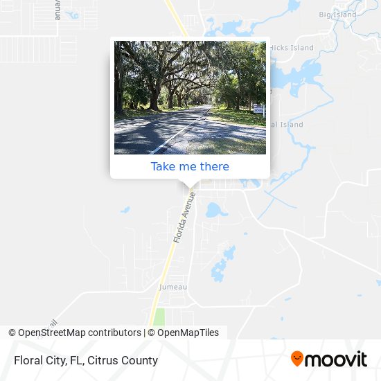 Mapa de Floral City, FL