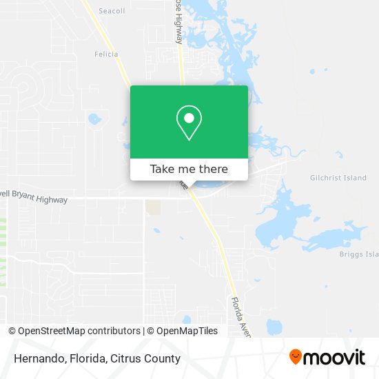 Hernando, Florida map