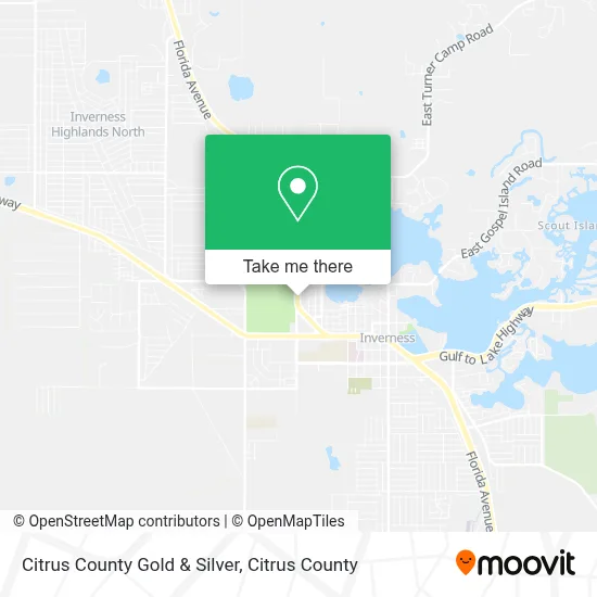 Citrus County Gold & Silver map